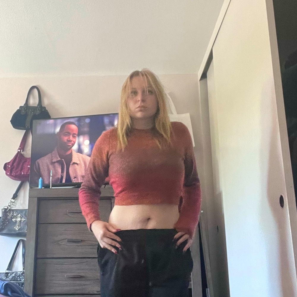 whool knitted cropped sweater top